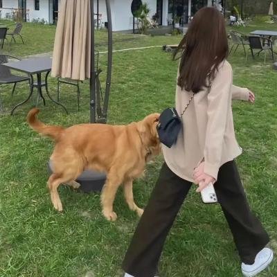 流板七人 在线观看封面